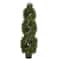 4ft. Potted Double Pond Cypress Spiral Topiary Tree